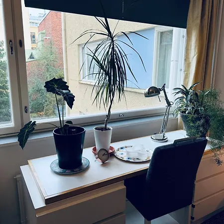 Lovely Apartment, Vuorimiehenkatu 31 *